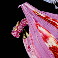 Floral Symphony One-Shoulder Gown