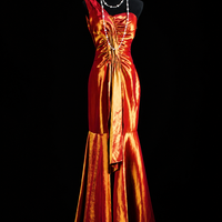 Golden Mirage Vintage Mermaid Gown