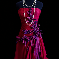 Rose of Thorns Silk Elegance Dress