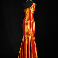 Golden Mirage Vintage Mermaid Gown